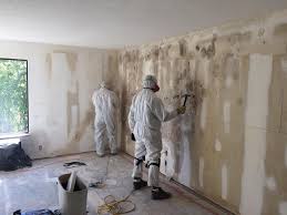 Best Mold Documentation for Insurance Claims  in Macdonnell Heights, NY